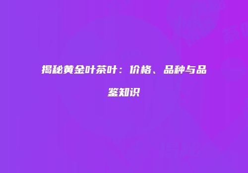 揭秘黄金叶茶叶：价格、品种与品鉴知识