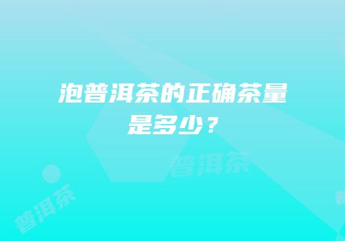 泡普洱茶的正确茶量是多少？