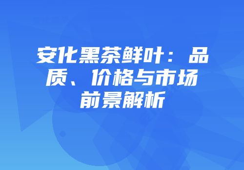 安化黑茶鲜叶：品质、价格与市场前景解析