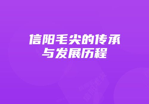 信阳毛尖的传承与发展历程