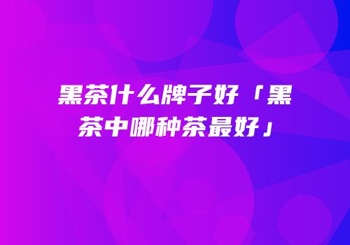 黑茶什么牌子好「黑茶中哪种茶最好」