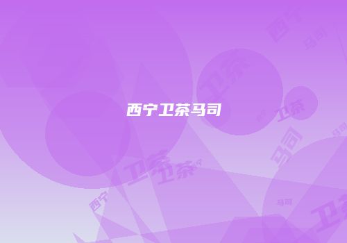 西宁卫茶马司