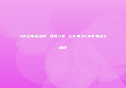 大红袍母树探秘：地理位置、历史价值与保护措施全解析