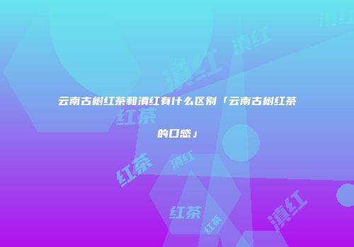 云南古树红茶和滇红有什么区别「云南古树红茶的口感」