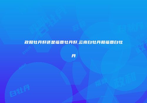 政和牡丹好还是福鼎牡丹好,云南白牡丹和福鼎白牡丹
