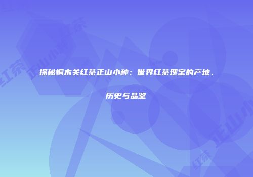 探秘桐木关红茶正山小种：世界红茶瑰宝的产地、历史与品鉴