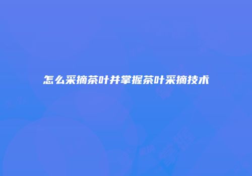 怎么采摘茶叶并掌握茶叶采摘技术