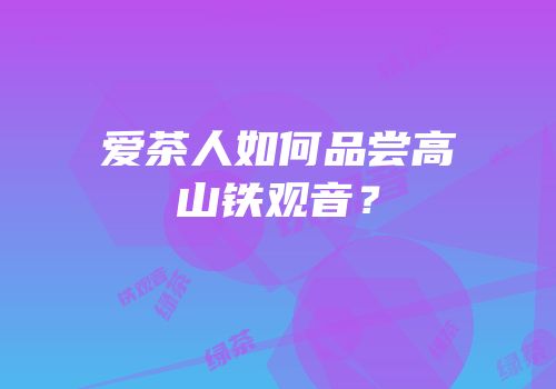 爱茶人如何品尝高山铁观音？