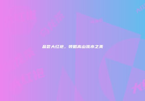品尝大红袍，领略高山流水之美