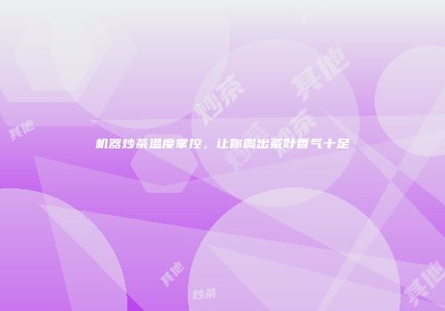 机器炒茶温度掌控，让你喝出茶叶香气十足