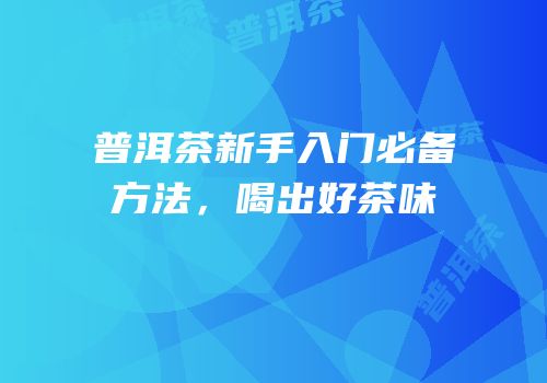 普洱茶新手入门必备方法，喝出好茶味