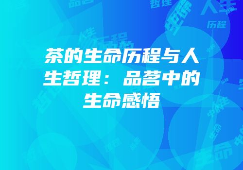 茶的生命历程与人生哲理：品茗中的生命感悟