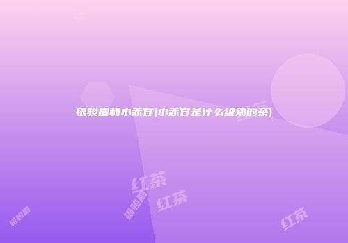 银骏眉和小赤甘(小赤甘是什么级别的茶)