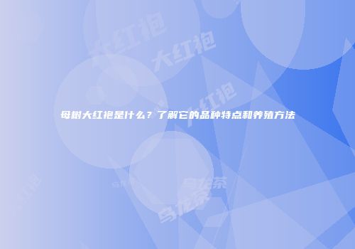 母树大红袍是什么？了解它的品种特点和养殖方法
