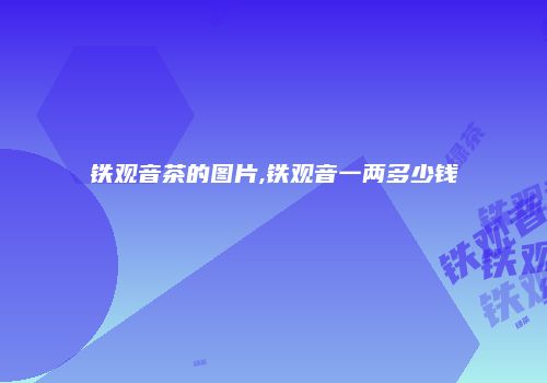 铁观音茶的图片,铁观音一两多少钱