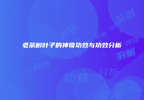 老茶树叶子的神奇功效与功效分析