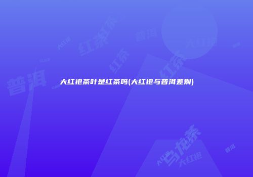 大红袍茶叶是红茶吗(大红袍与普洱差别)