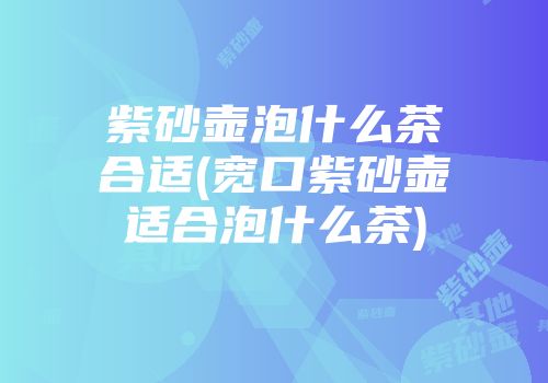 紫砂壶泡什么茶合适(宽口紫砂壶适合泡什么茶)