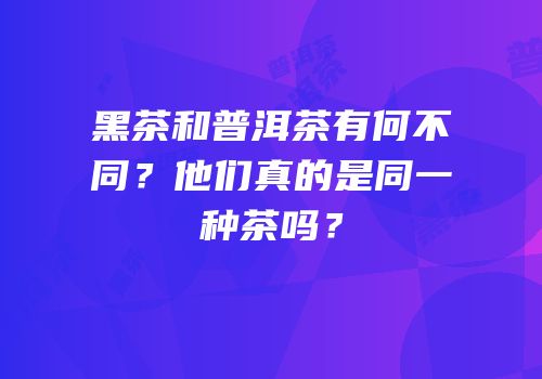 黑茶和普洱茶有何不同？他们真的是同一种茶吗？