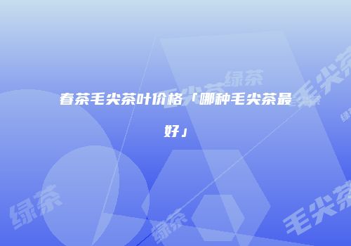 春茶毛尖茶叶价格「哪种毛尖茶最好」