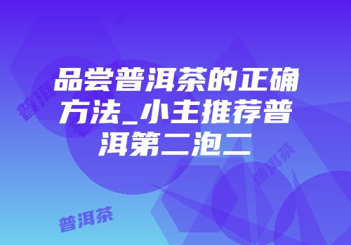 品尝普洱茶的正确方法_小主推荐普洱第二泡二