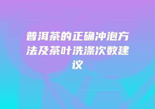 普洱茶的正确冲泡方法及茶叶洗涤次数建议