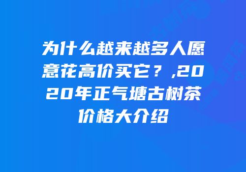 为什么越来越多人愿意花高价买它？,2020年正气塘古树茶价格大介绍