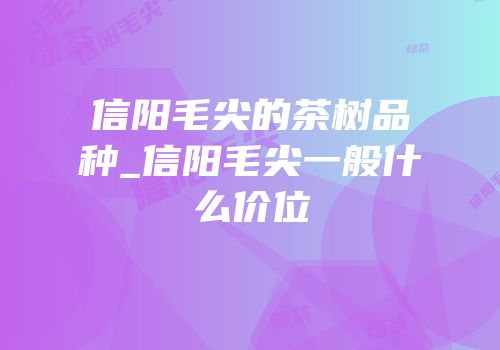 信阳毛尖的茶树品种_信阳毛尖一般什么价位