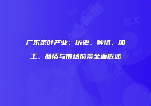 广东茶叶产业：历史、种植、加工、品质与市场前景全面概述
