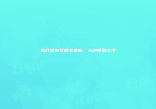 茶叶筑制日期全解析：从种植到饮用
