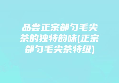 品尝正宗都匀毛尖茶的独特韵味(正宗都匀毛尖茶特级)