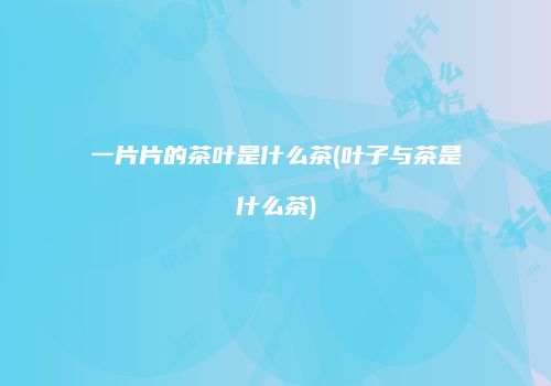 一片片的茶叶是什么茶(叶子与茶是什么茶)