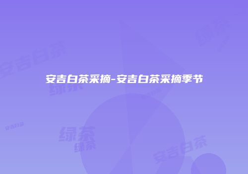 安吉白茶采摘-安吉白茶采摘季节
