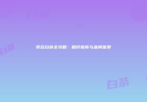 紧压白茶全攻略：知识指南与品牌鉴赏