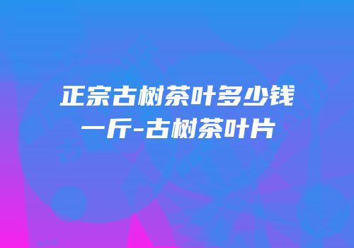 正宗古树茶叶多少钱一斤-古树茶叶片