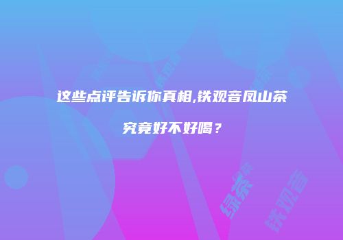 这些点评告诉你真相,铁观音凤山茶究竟好不好喝？