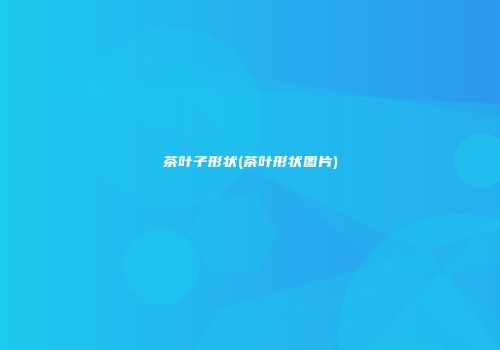 茶叶子形状(茶叶形状图片)