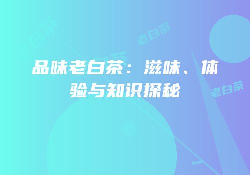 品味老白茶：滋味、体验与知识探秘