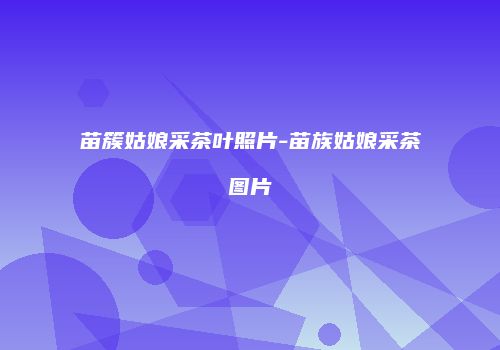 苗簇姑娘采茶叶照片-苗族姑娘采茶图片