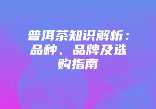 普洱茶知识解析：品种、品牌及选购指南
