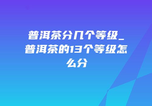 普洱茶分几个等级_普洱茶的13个等级怎么分