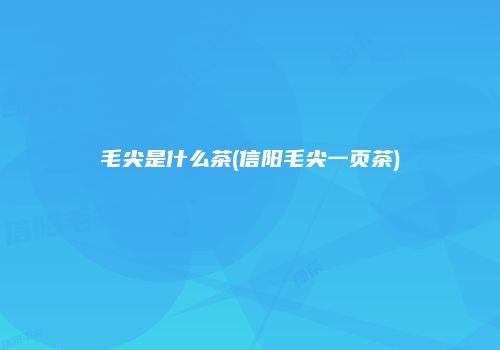 毛尖是什么茶(信阳毛尖一页茶)