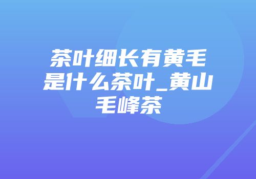 茶叶细长有黄毛是什么茶叶_黄山毛峰茶