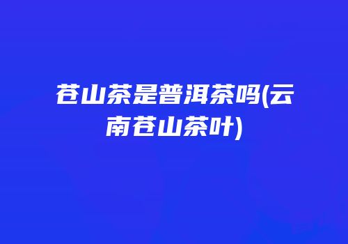 苍山茶是普洱茶吗(云南苍山茶叶)