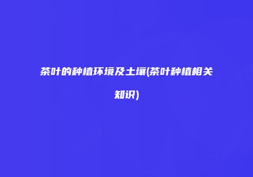 茶叶的种植环境及土壤(茶叶种植相关知识)