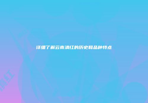 详细了解云南滇红的历史和品种特点