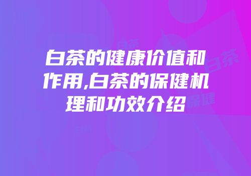 白茶的健康价值和作用,白茶的保健机理和功效介绍