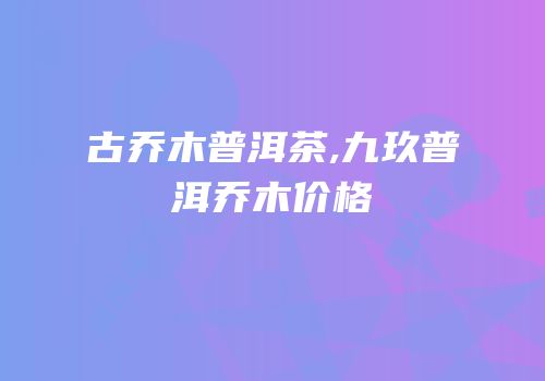 古乔木普洱茶,九玖普洱乔木价格