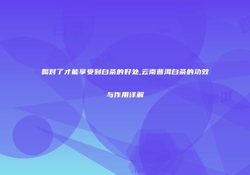 喝对了才能享受到白茶的好处,云南普洱白茶的功效与作用详解