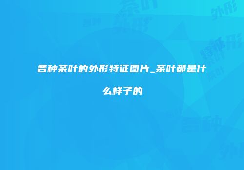 各种茶叶的外形特征图片_茶叶都是什么样子的